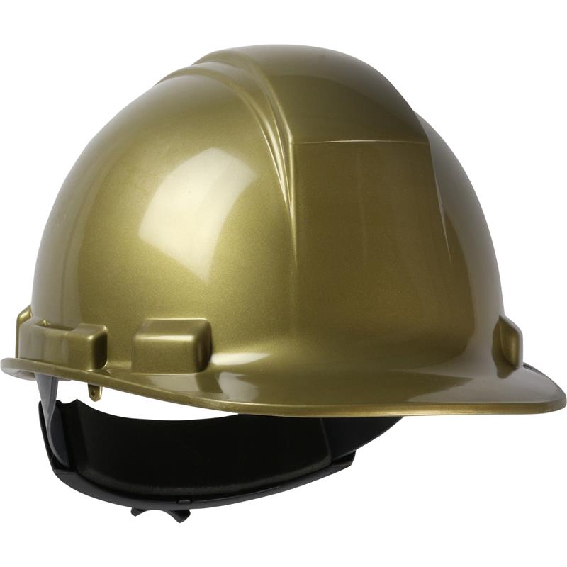 Casque de Sécurité CSA ''WHISTLER'' Dynamic